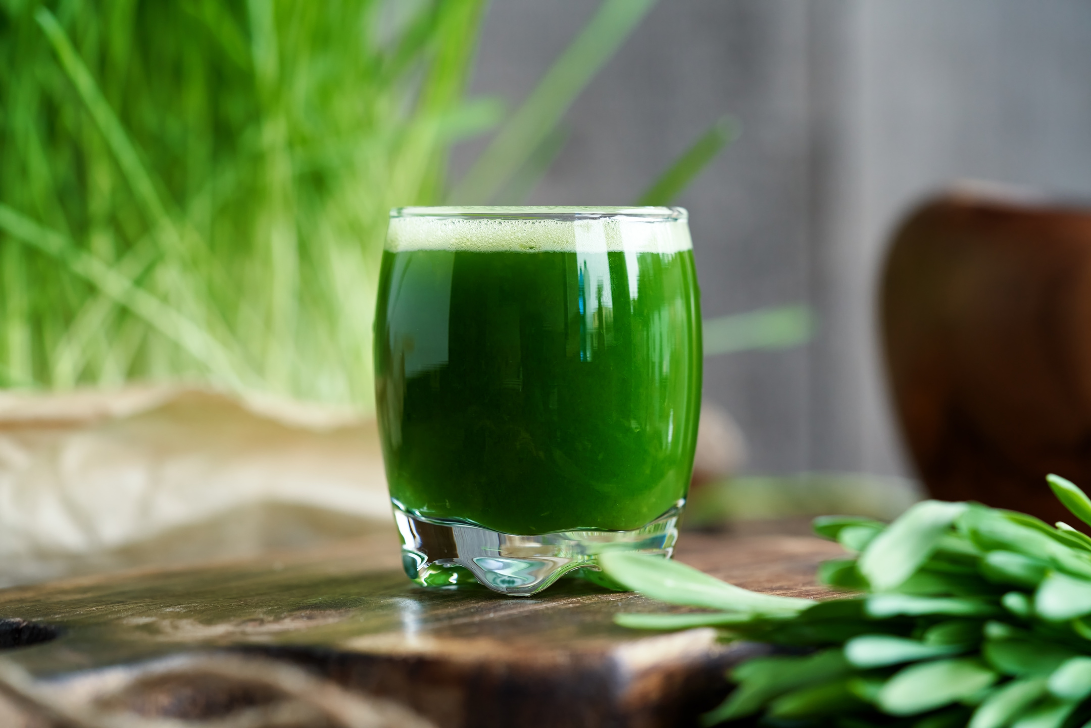 A shot glass of green barley grass juice